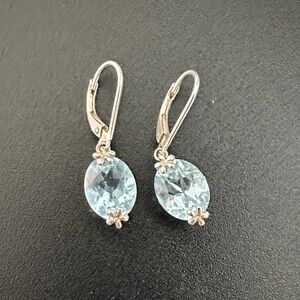Silver and Blue Gemstone Earrings